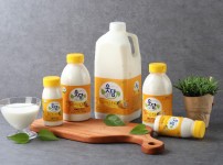 웃담유자요구르트